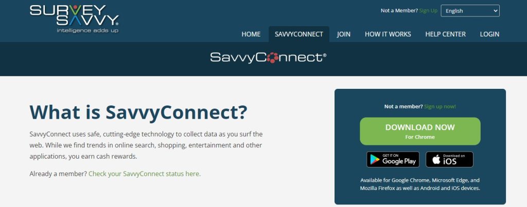 24. Survey Savvy Connect